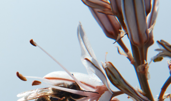 Scopri la Mostra di Fotografia Naturalistica A bordo della motonave Padus