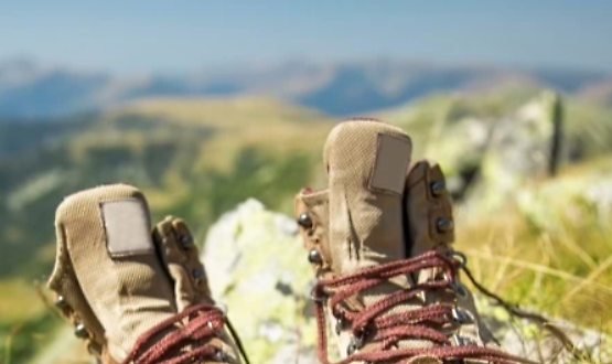 Walle: Easy Hike e pranzo in Valtrebbia