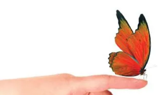 #25novembre - Le iniziative in città