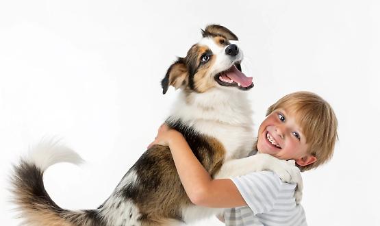 "Letture a sei zampe" appuntamento per bambini e ragazzi