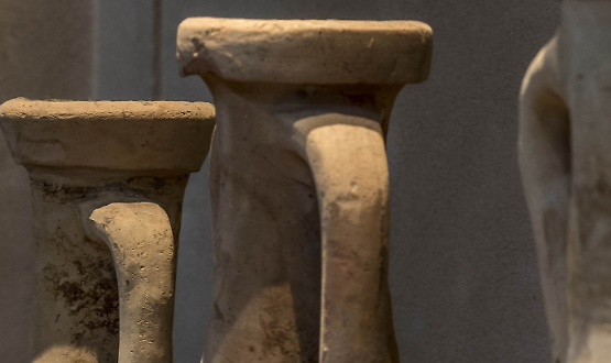 Dalla scuola al museo: visite guidate