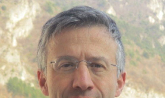 La politica. Filosofie politiche, guerra, informazione e disinformazione