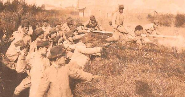 Grande Guerra. Lettere dal fronte di un uomo tranquillo: miei ...