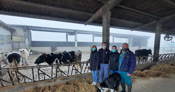 Vacche Uccise Dal Botulino Stalla In Dono Dal Disastro Alla Rinascita La Provincia