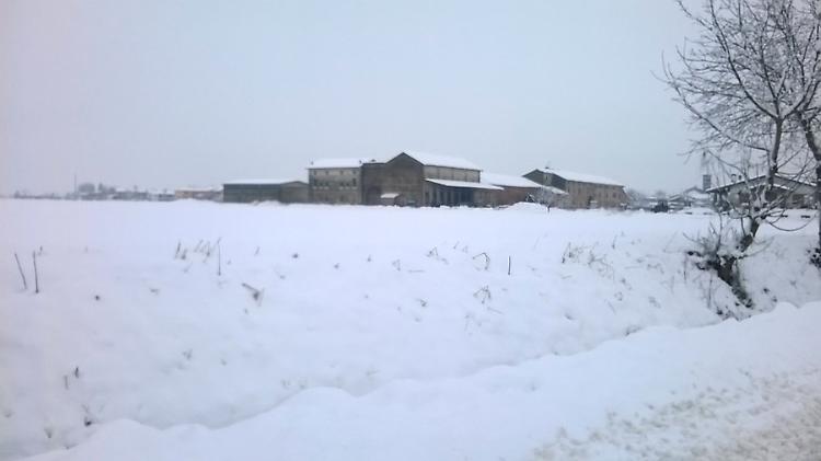 nevicata corte de cortesi cignone