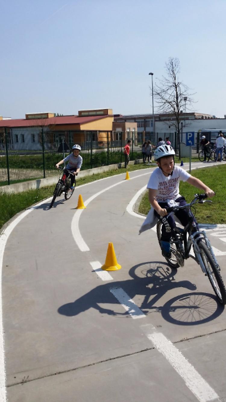 Sulla buona strada in bici a Casalmaggiore