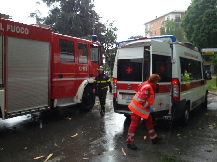 fulmine su albero crema