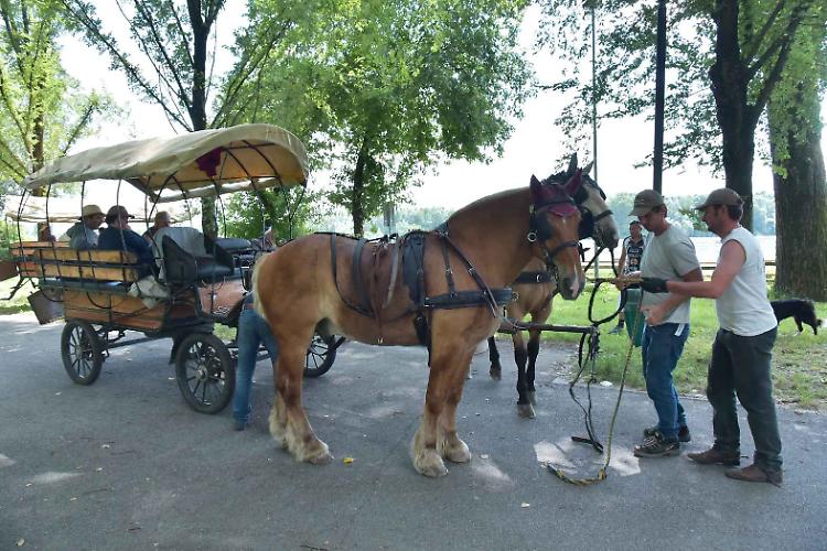 progetto equus
