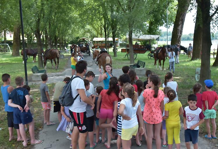 progetto equus