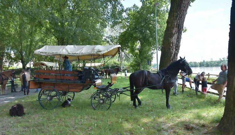 progetto equus