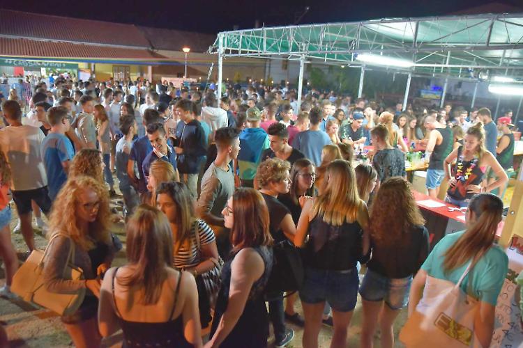watermelon beach party gussola