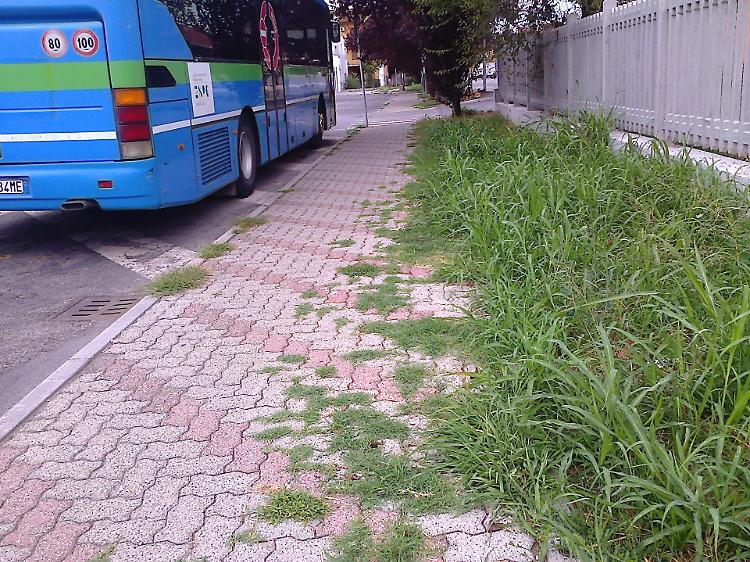 degrado autostazione cremona