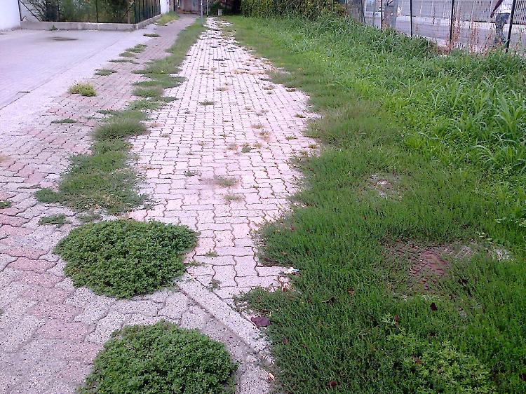 degrado autostazione cremona