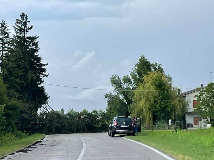 Viadana, frazione Cavallara