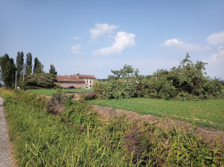 Tromba d'aria a Vicomoscano