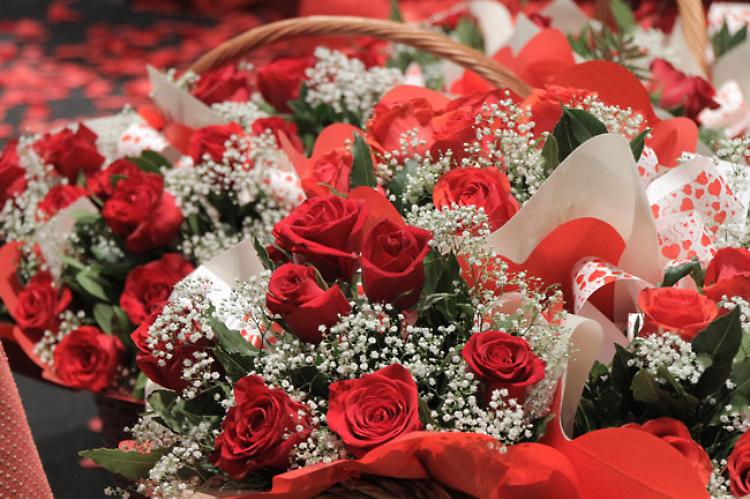 San Valentino, un biglietto per due al Museo Civico 'Ala Ponzone'