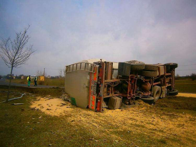 Camion si ribalta a Castelvetro, mangime ovunque