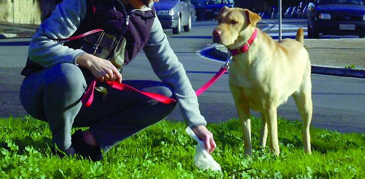Il centro 'toilette' dei cani