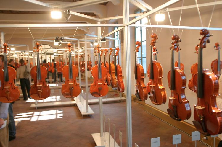 VioliNewYork