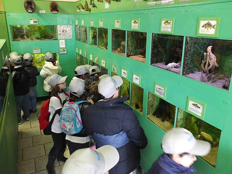 Covid, Fase 2: a Motta Baluffi riapre oggi l'Acquario del Po