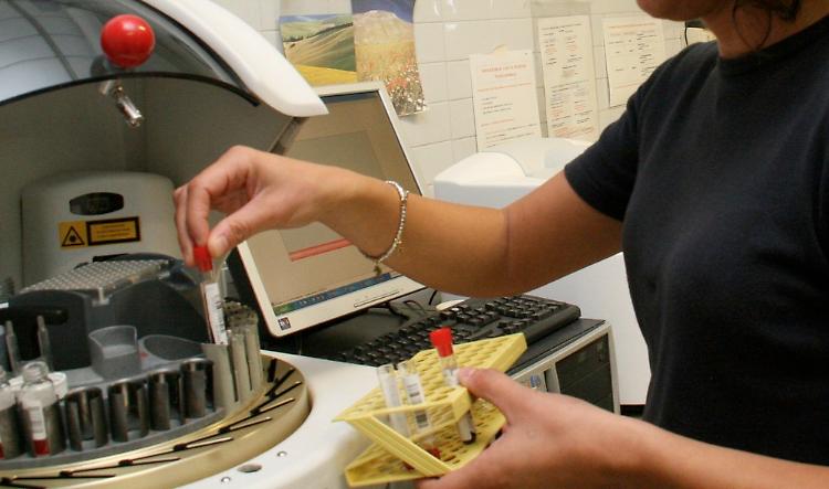 Studente di medicina al lavoro in laboratorio