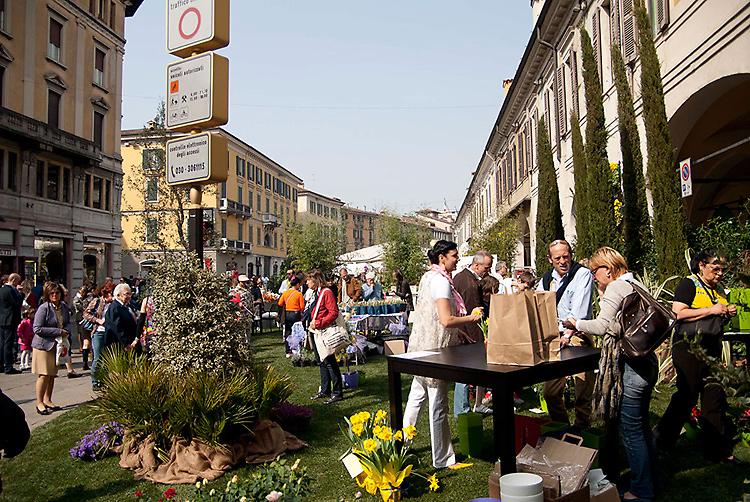 Brixia Florum