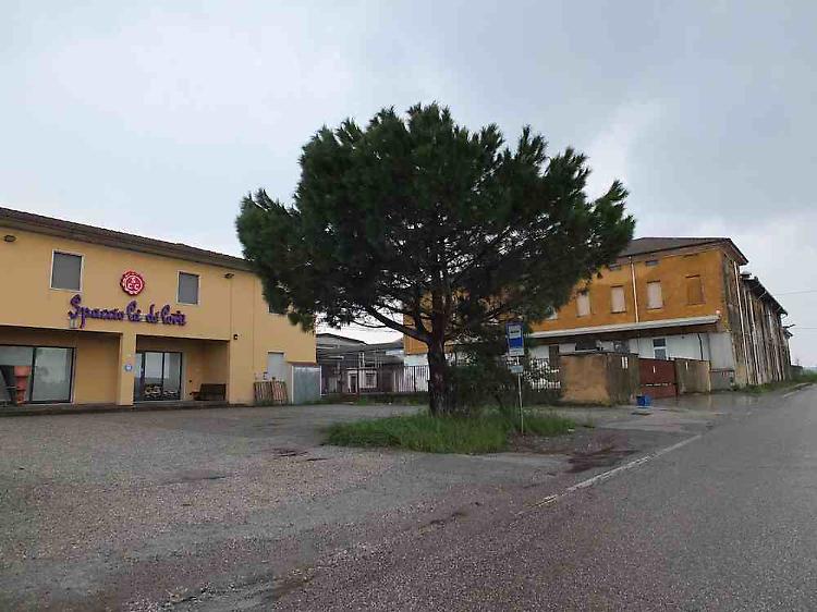 Sparite 500 forme di grana