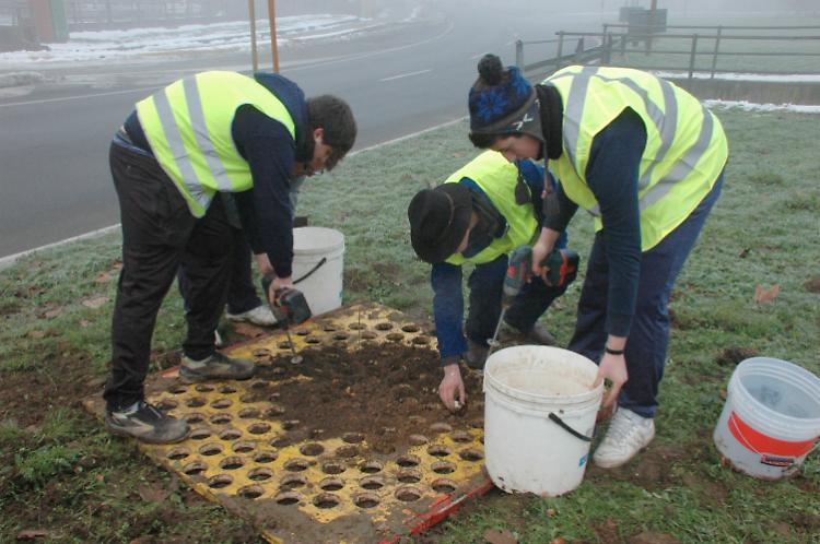 I tulipani in tante aiuole con gli studenti dello Stanga