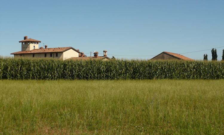 Alla scoperta della campagna lombarda