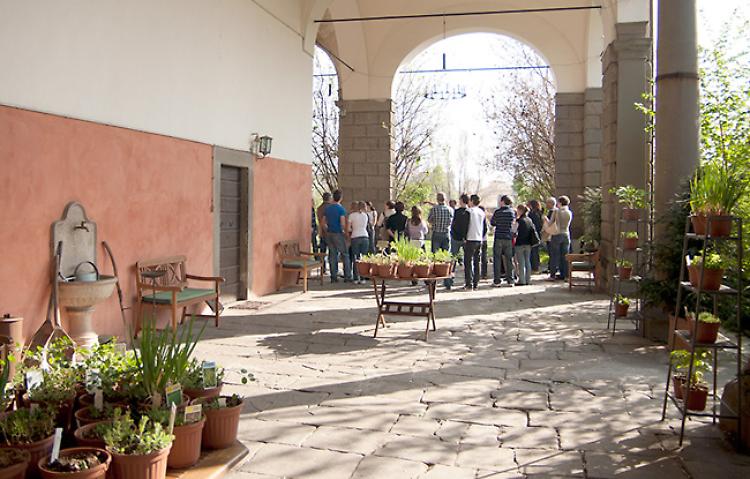 Imparare a conoscere le piante aromatiche a Rovato domenica 19
