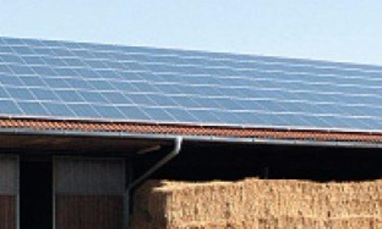 Rubati 200 pannelli fotovoltaici