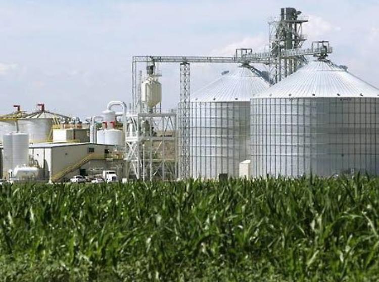 Energia dai rifiuti, gli ambientalisti chiedono un'assemblea pubblica