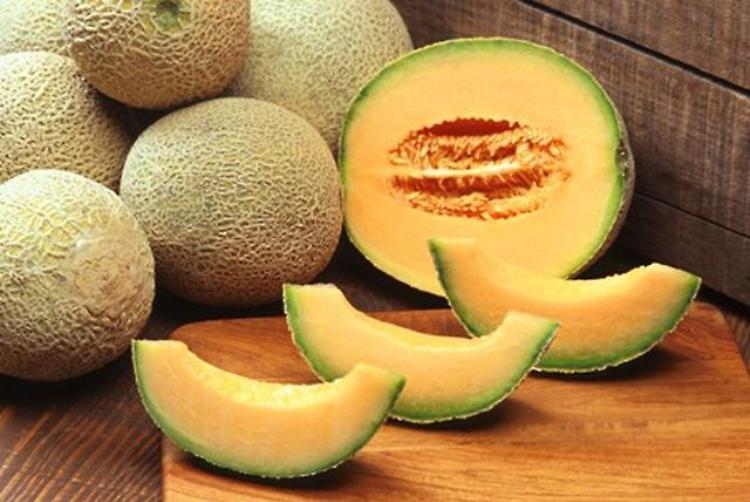 Futuro del melone, Opo Bellaguarda e problema nutrie al centro dell'incontro con fava