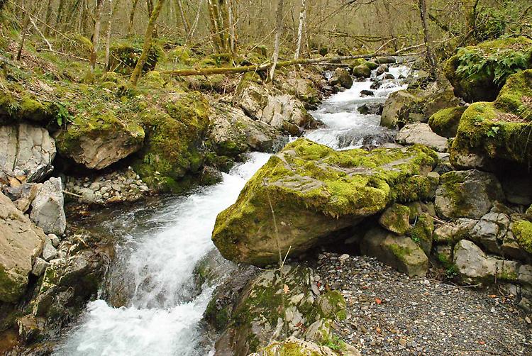 Le attività per il 29 e 30 giugno in Val Taro e Val Ceno (PR) 