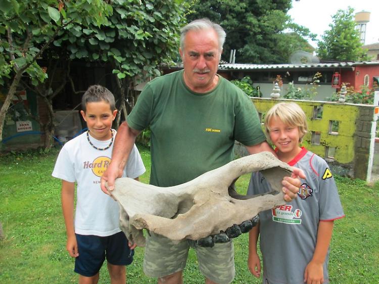 Cranio preistorico ritrovato in riva al Po