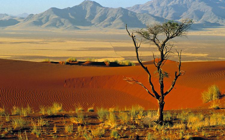 namibia