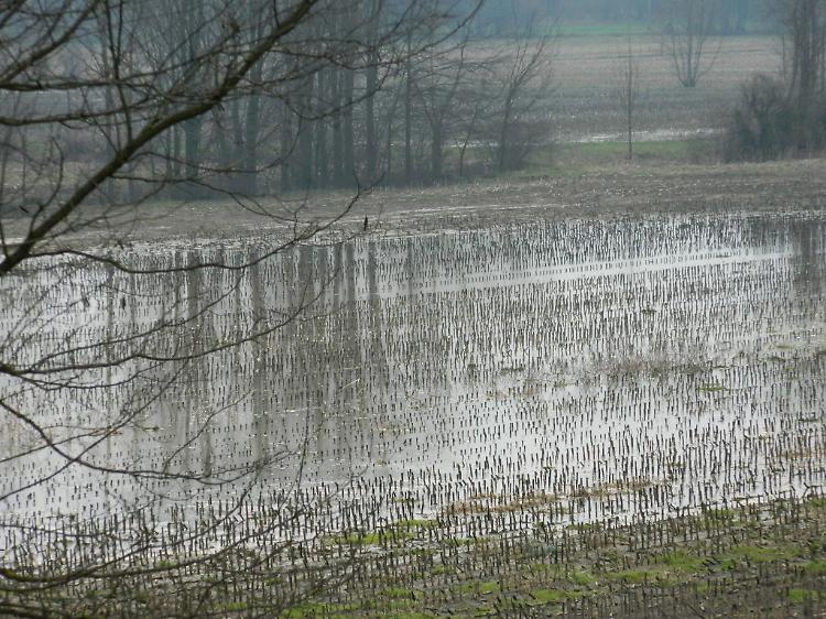 Dichiarato lo stato di calamità