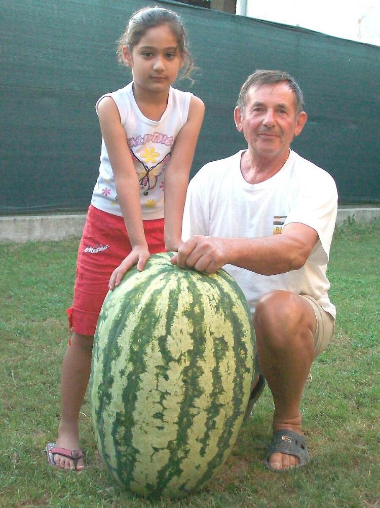 Anguria record da 42 kg