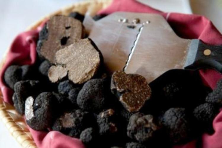 A San Zeno di Montagna (Vr) ''Profumo di Tartufo del Baldo''