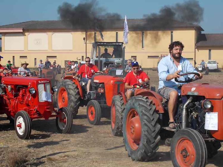 La carica degli 80 trattori d'epoca