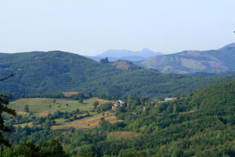 val taro val ceno