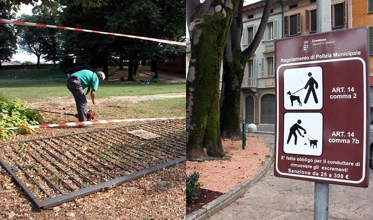 Cancello divelto a Porta Mosa e impianto di irrigazione rotto