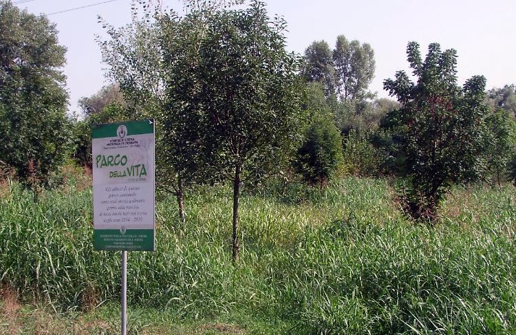 Il Parco della vita in via Viviani
