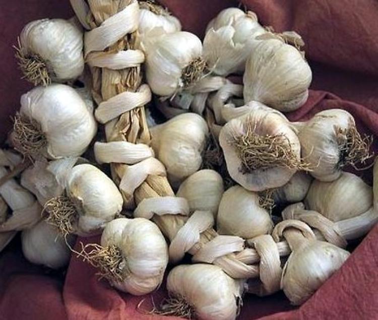 ‘Fiera dell’aglio’ a Monticelli d'Ongina, da giovedì 3