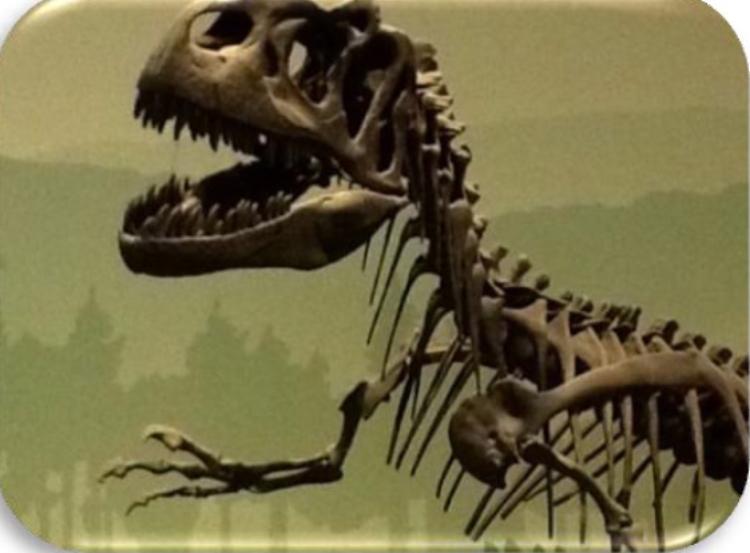 Identikit di un dinosauro al Museo di Storia Naturale di Milano 

