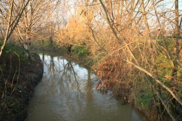 Le sponde del Morbasco sono preda dell’incuria
