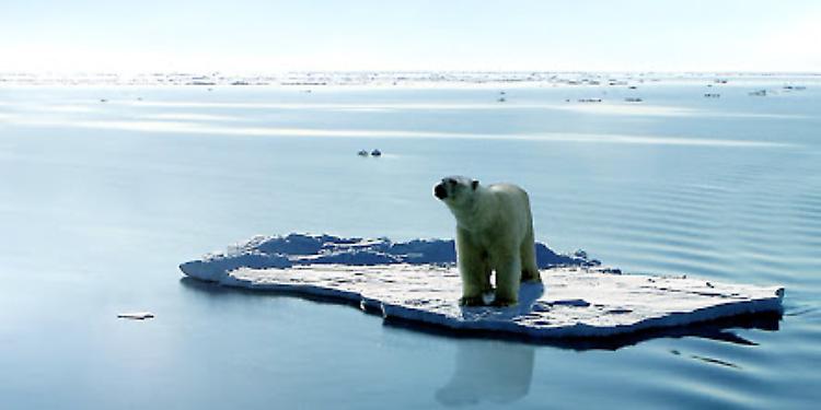 "Riscaldamento globale - 10 anni per salvare il pianeta" Incontro/dibattito giovedì a Casalmaggiore