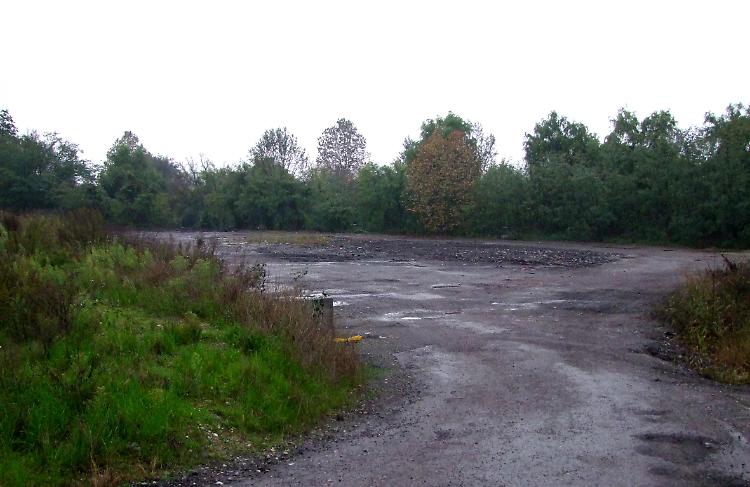 L'area a ridosso della Paullese dove dovrebbe sorgere il nuovo canile