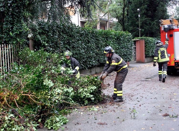 Pioggia e vento sulla città, in via Biffi cade un albero