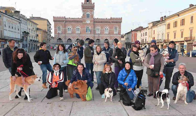 I cani e i gatti 'superamici'